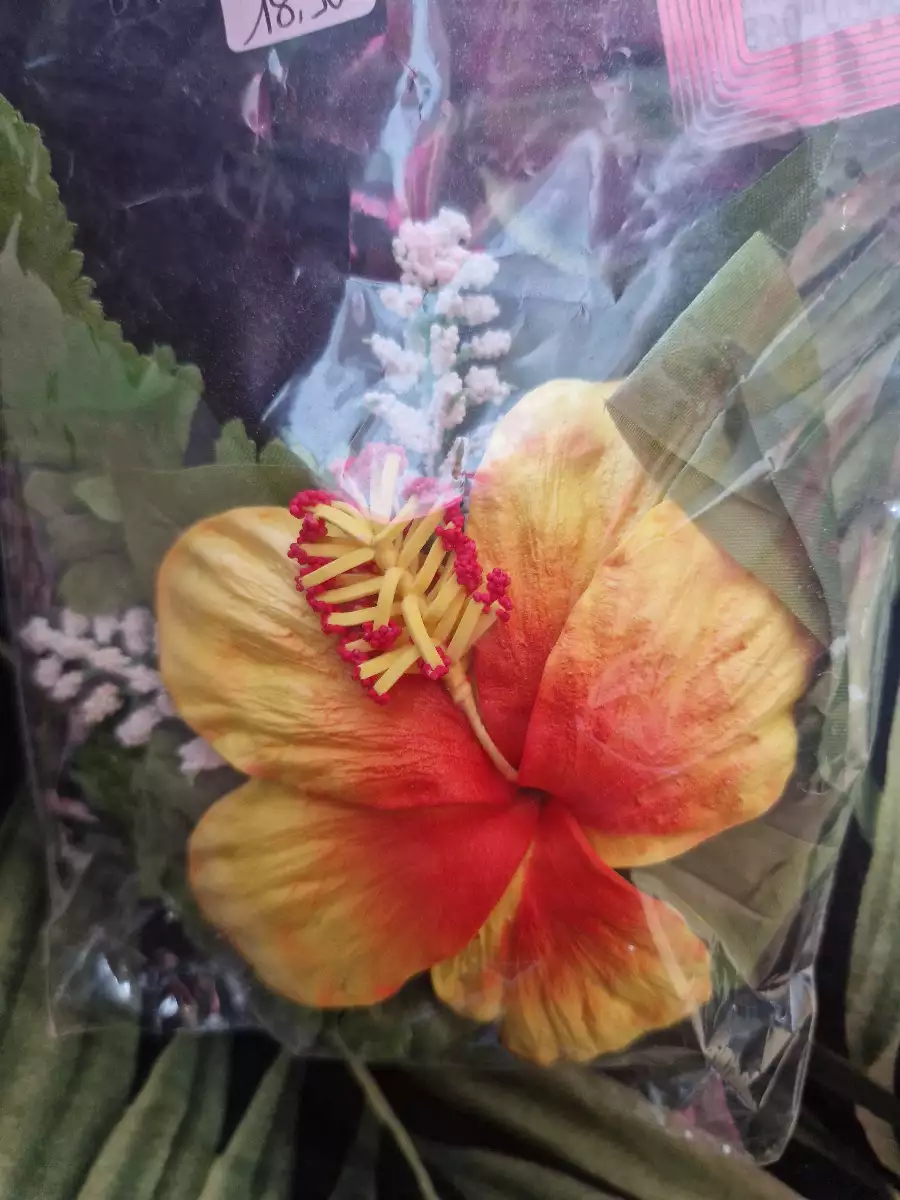 Poara Fleurs d’hibiscus